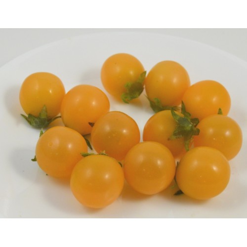Cherry Tomatoes Yellow (set of 12)